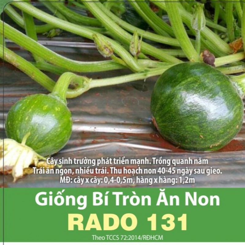 Hat giong bi tron an non Rang Dong