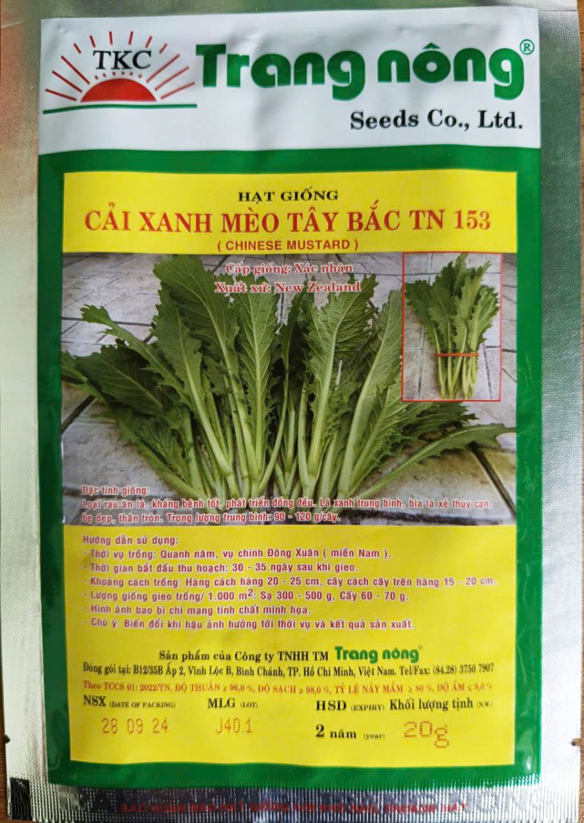 Hạt giống Cải xanh mèo Tây Bắc TN 153 (Chinese Mustard)