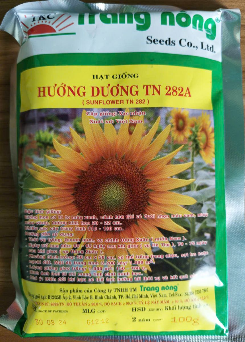 Hạt giống Hướng dương cao trồng Tết TN 282A - Gói lớn