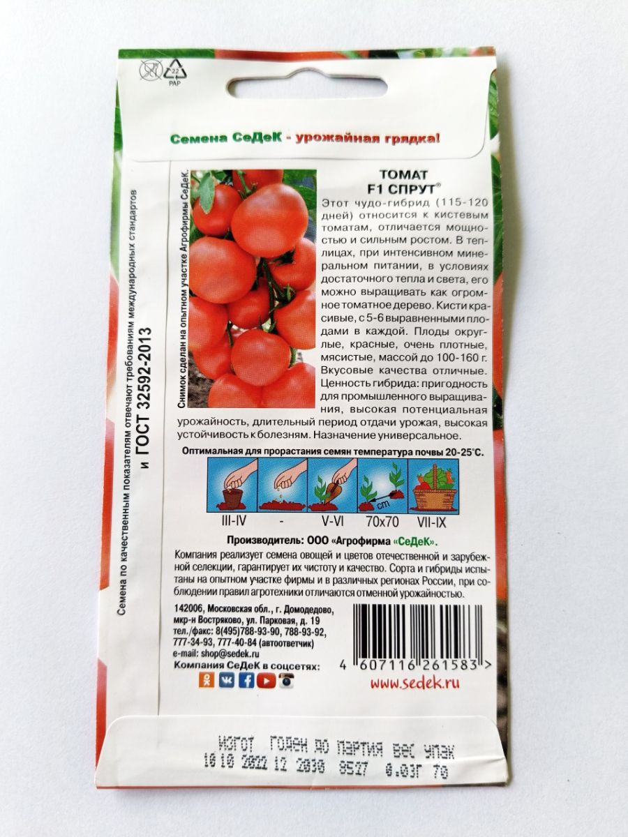 Hạt giống cà chua bi chùm nhiều quả nhập Nga