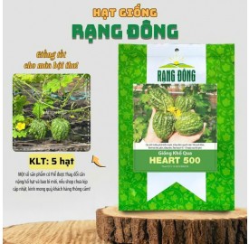 Hạt giống khổ qua trái tim rạng đông
