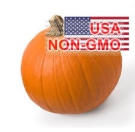 Hạt giống bí ngô SPOOKIE Ngọt Thơm 2.4kg (Cucurbita pepo)