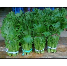 Hạt giống rau Cải mèo Hà Giang 