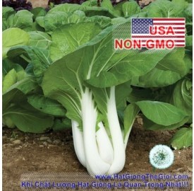 Hạt giống cải Chịu Nhiệt 1kg Joi Choi (Brassica rapa Chinensis)