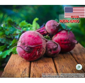 Hạt giống củ dền đỏ Detroit (Beta vulgaris)