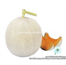 Hạt giống dưa lưới ruột cam mỏng vỏ Nhật Ruột ĐỎ F1