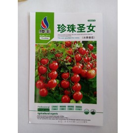 Hạt giống cà chua chuỗi đỏ nhập khẩu Đài Loan
