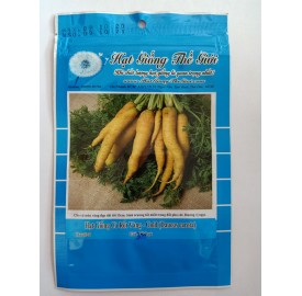 Hạt giống cà rốt vàng Gold (Daucus carota)