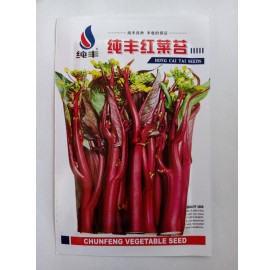 Hạt giống cải ngồng đỏ nhập khẩu Đài Loan