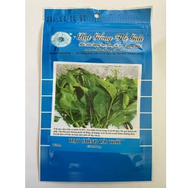 Hạt giống cải trời 