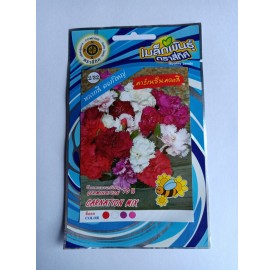 Hạt giống hoa cẩm chướng kép nhiều màu nhập khẩu Thái Lan