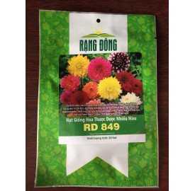 Hạt giống hoa thược dược nhiều màu Rạng Đông