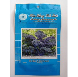 Hạt giống cải xoăn Kale tím Redbor F1