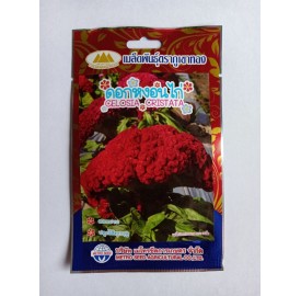 Hạt giống hoa mào gà búa đỏ nhập khẩu Thái Lan