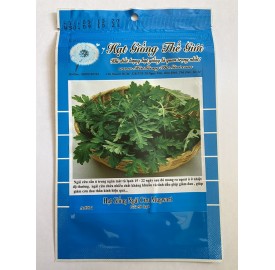 Hạt giống ngải cứu Mugwort (Artemisia vulgaris)