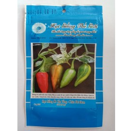 Hạt giống ớt cầu vồng Châu Phi 60cm (Capsicum)