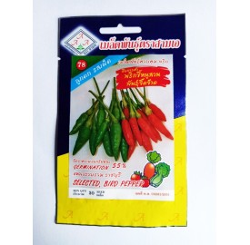 Hạt giống ớt xiêm nhập khẩu Thái Lan