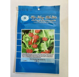 Hạt giống rau chân vịt vị dâu tây độc lạ Dâu Tây (Chenopodium capitatum)