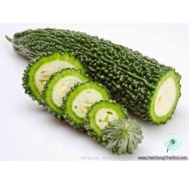Hạt giống Khổ qua xanh gai 