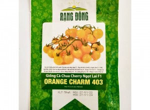 Hạt giống cà chua cherry quả tròn cam vàng ngọt lai F1 Orange Charm 403
