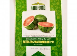 Hạt giống Dưa hấu đỏ tròn không hạt lai F1 Rạng Đông Seedless Watermelon 211