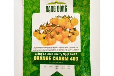 Hạt giống cà chua cherry quả tròn cam vàng ngọt lai F1 Orange Charm 403