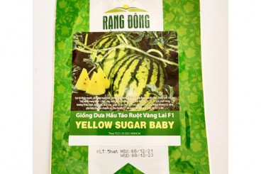 Hạt giống dưa hấu táo ruột vàng lai F1 Rạng Đông - Yellow Sugar Baby