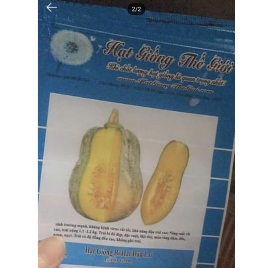 Hạt giống Bí đỏ hạt đậu lai