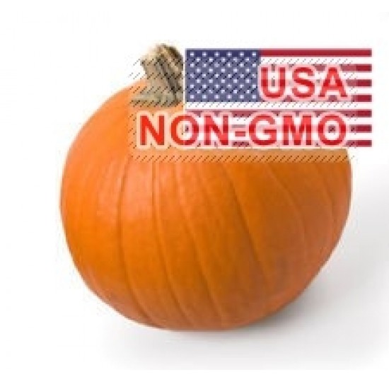 Hạt giống bí ngô SPOOKIE Ngọt Thơm 2.4kg (Cucurbita pepo)