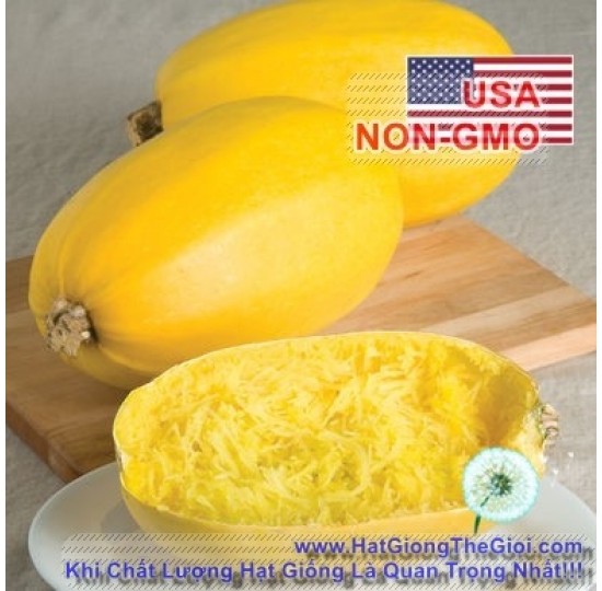 Hạt giống Bí mì sợi Squash Spaghetti 223