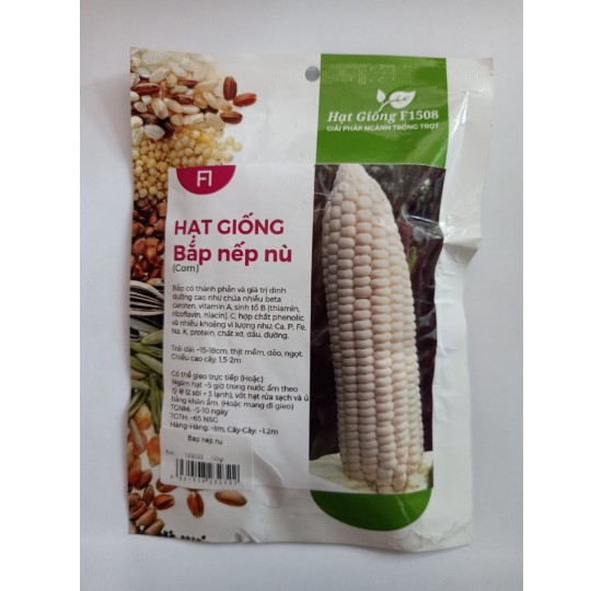 Hạt giống bắp nếp nù F1508