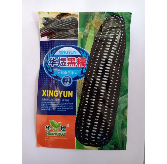 Hạt giống bắp ngô đen nhập khẩu Đài Loan
