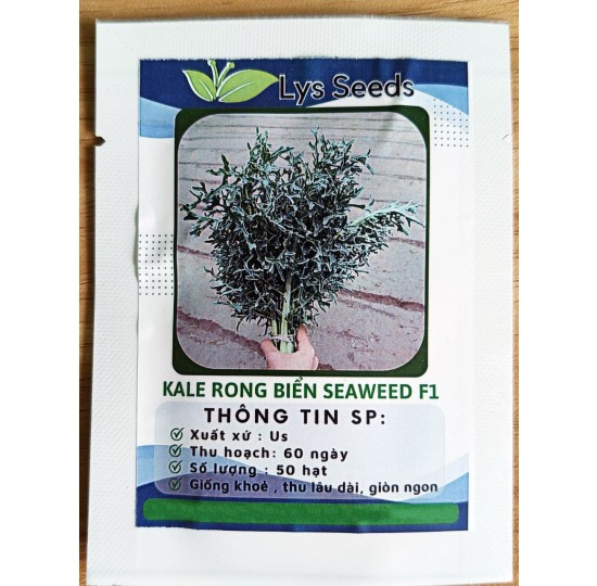 Hạt giống cải kale rong biển xoăn seaweed F1