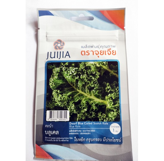 Hạt giống Cải kale xoăn xanh lùn Kale Scotch - Hàng nhập khẩu Thái Lan