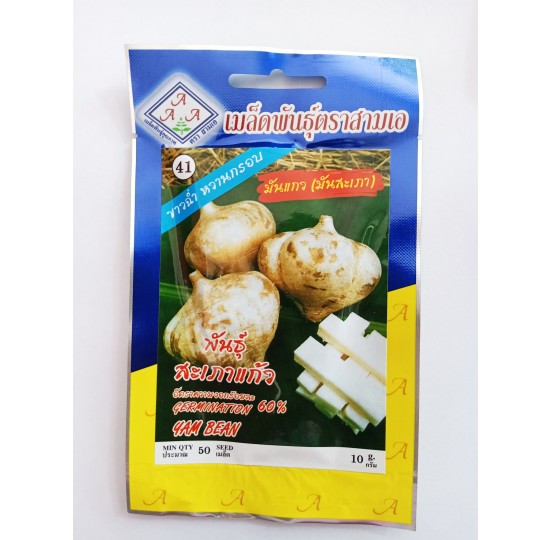 Hạt giống củ đậu củ sắn nhập khẩu Thái Lan