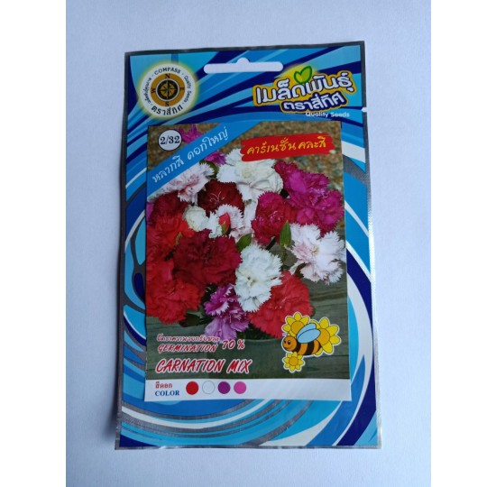 Hạt giống hoa cẩm chướng kép nhiều màu nhập khẩu Thái Lan
