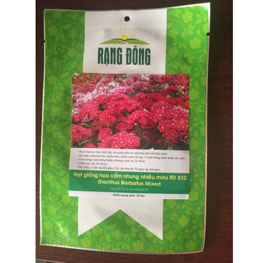 Hạt giống hoa cẩm nhung nhiều màu Rạng Đông