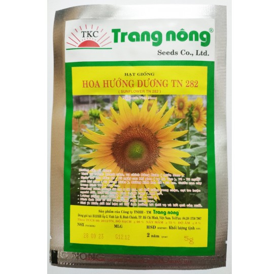 Hạt giống Hoa hướng dương cao bông to trồng Tết TN 282 Trang Nông