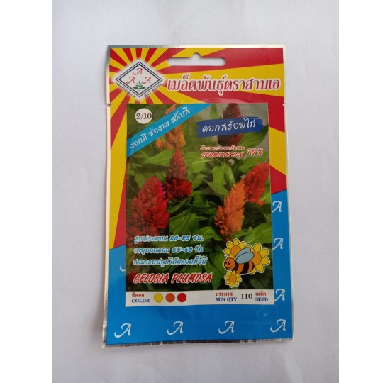 Hạt giống hoa mào gà đuôi chồn nhập khẩu Thái Lan