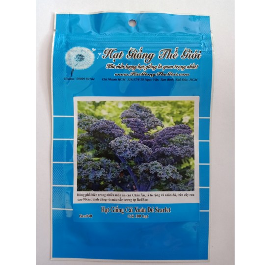 Hạt giống cải xoăn Kale tím Scarlet