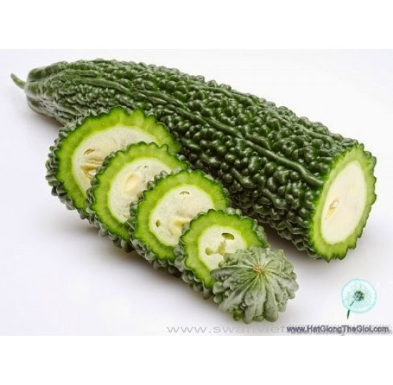 Hạt giống Khổ qua xanh gai 