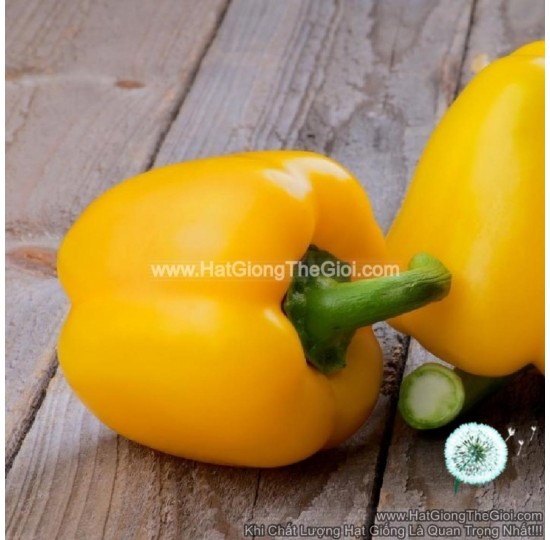 Hạt giống ớt chuông vàng 