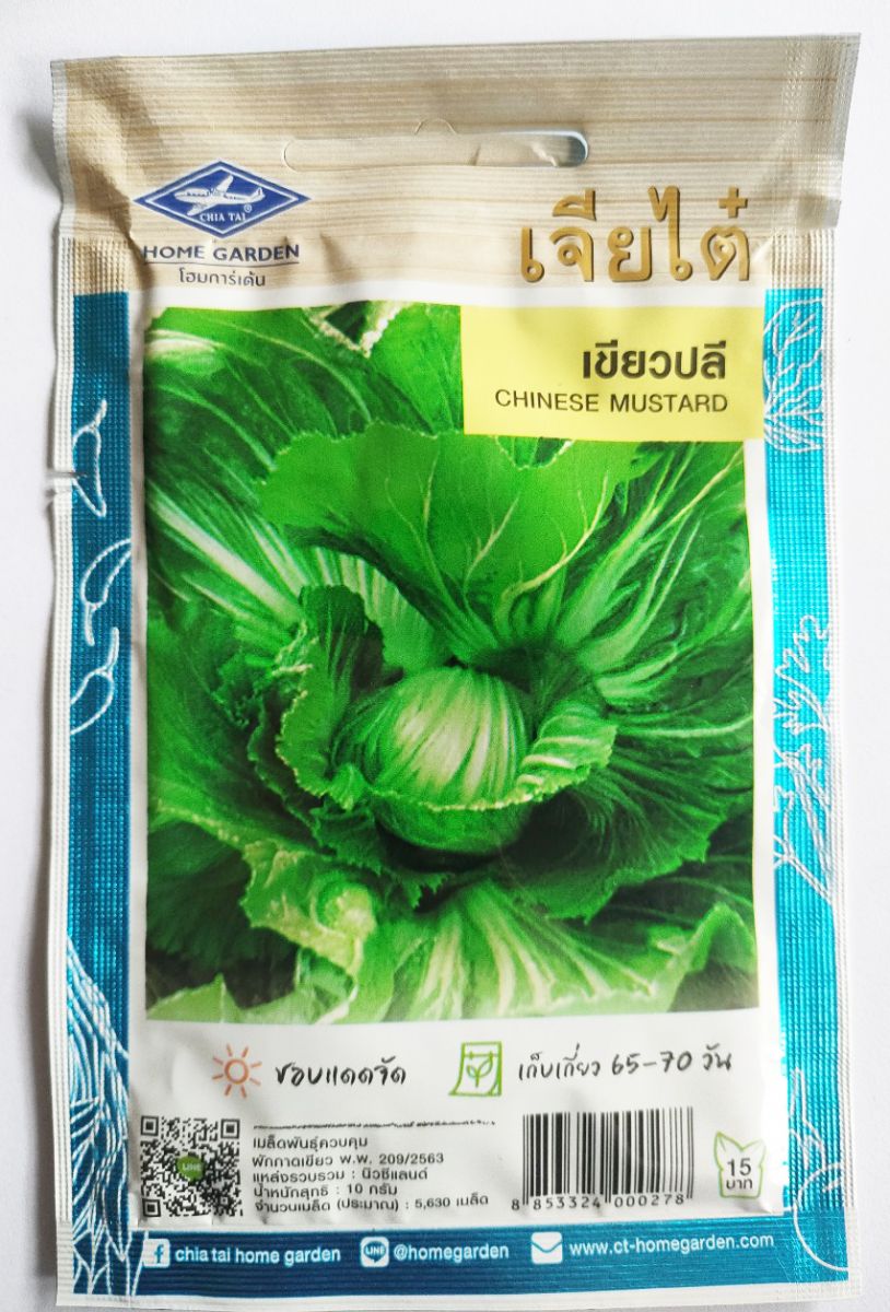 Hạt giống Cải bẹ xanh cuộn làm dưa muối Thái Lan