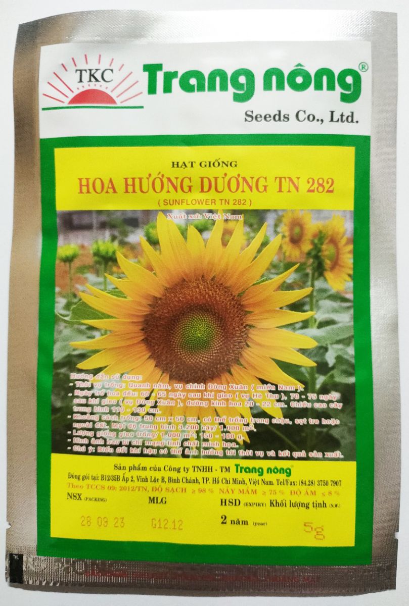 Hạt giống Hoa hướng dương cao bông to trồng Tết TN 282 Trang Nông