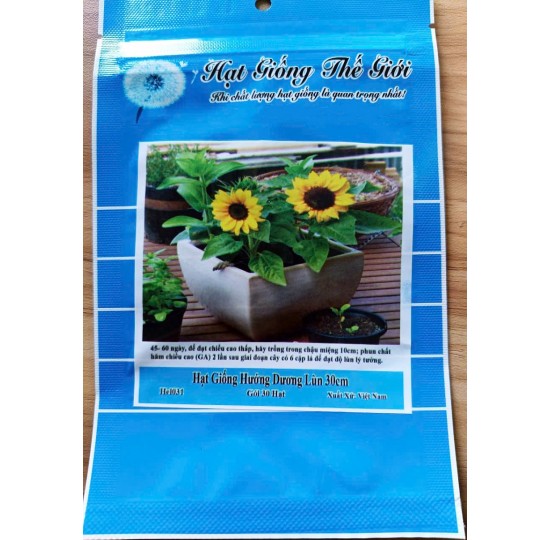 Hạt giống hướng dương lùn 30cm Hạt giống hướng dương lùn 30cm